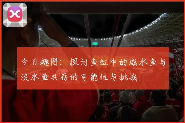 今日趣图：探讨鱼缸中的咸水鱼与淡水鱼共存的可能性与挑战