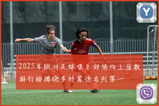 2025年欧洲足球俱乐部场均上座数排行榜揭晓多特蒙德名列第一
