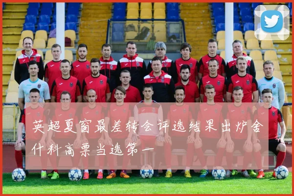 英超夏窗最差转会评选结果出炉舍什科高票当选第一